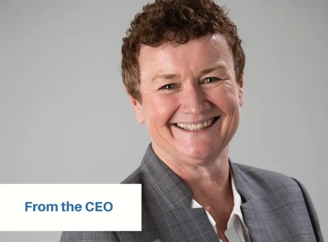 From the CEO 13 December 2024